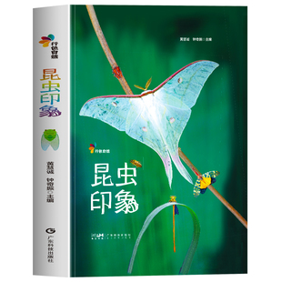 昆虫印象行色自然多样昆虫形态与生活场景画面细腻捕捉昆虫细节色彩贴合自然本真直观感受昆虫的独特魅力沉浸式的自然观察体验