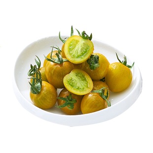 糖珀琥小番茄黄绿色圣女果新鲜现摘唐伯虎水果小柿子生吃玲珑果