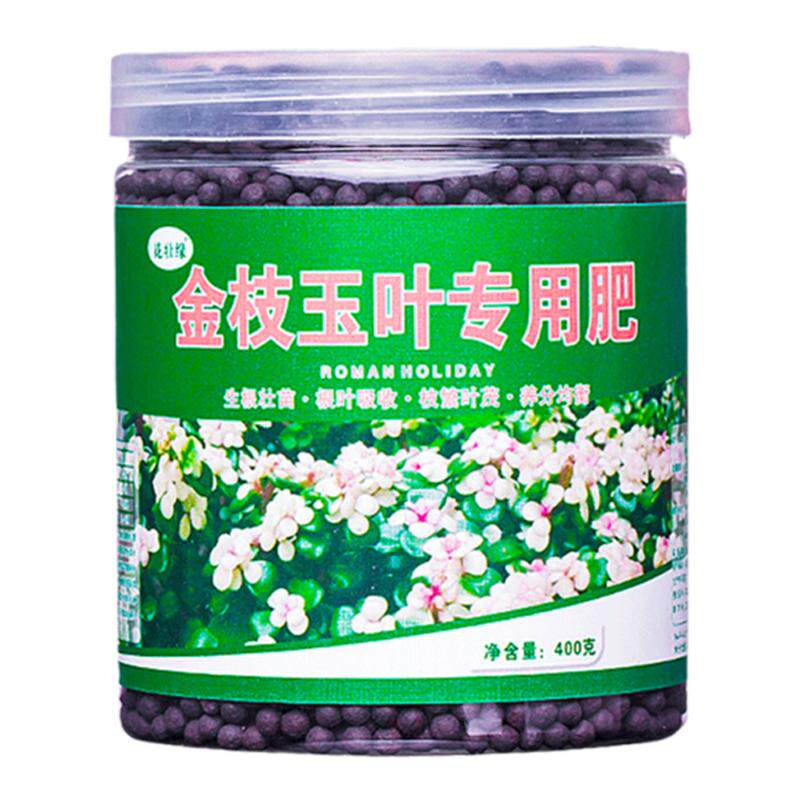 金枝玉叶专用肥促开花助长绿叶