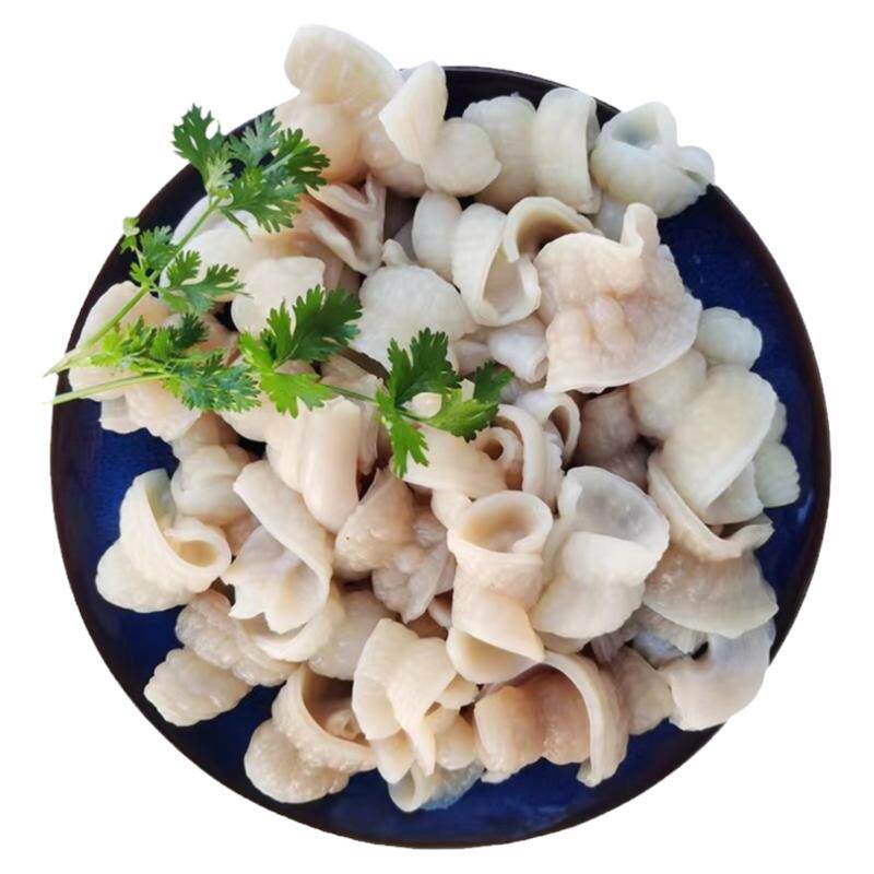 新鲜脆肠脆红肚鲨鱼肠鲨鱼肚鱼胶深海肚丝鱼肠火锅烤串麻辣烫食材