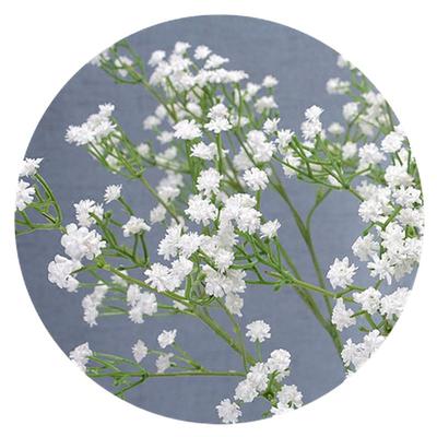 客厅茶几仿真花满天星高仿真塑料