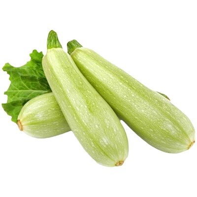 西葫芦种子高产抗病早熟盆栽