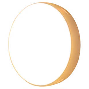 2025新款人体感应灯夜间自动亮灯家用走廊过道智能声控充电小夜灯