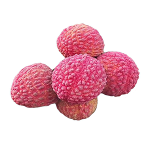 荔枝树苗冰荔仙进奉枝妃子笑桂味无核荔枝苗盆栽庭院嫁接果树苗