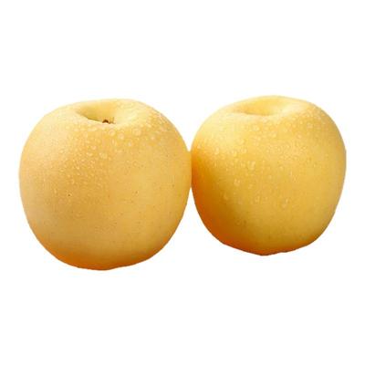 山东奶油富士苹果力荐9斤包邮