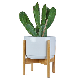 北欧花架十字花架子落地支架阳台客厅鱼缸花盆植物绿萝多肉盆栽架