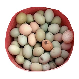 顺丰高山农家散养新鲜五黑鸡土鸡蛋月仔蛋60个杂粮正宗土鸡蛋