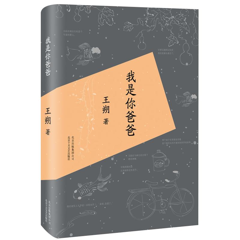 我是你爸爸 王朔作品 精装版 都市/情感小说文学  正版图书