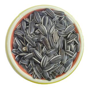 颗粒饱满坚果花栗鼠松鼠粮食生瓜子500g土拨鼠食饲料零食主粮松果