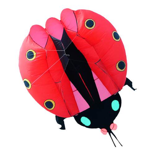 潍坊马老四风筝软体瓢虫风筝大型软体成人款风筝