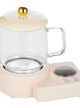 全玻璃养生壶小型办公室煮水茶杯