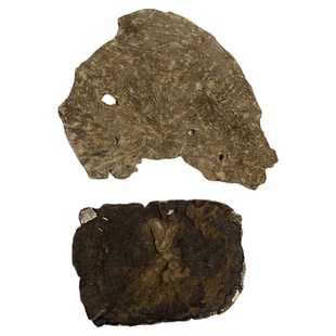 可供药企白木香沉香板头老料铁头打粉原材料天然香料原木块料熏香