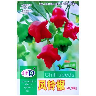 风铃小辣椒种子早熟观赏椒灯笼椒