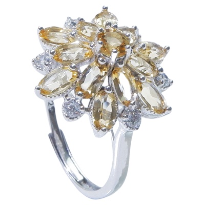 伊能净直播间同款推荐，招财转运