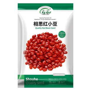 红豆种子杂粮红小豆农家赤小豆籽种春播夏种早熟高产大颗粒小红豆