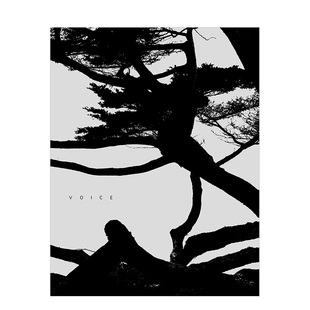 【现货】李俊金:声音 Jungjin Lee:Voice 英文原版图书外版进口书籍