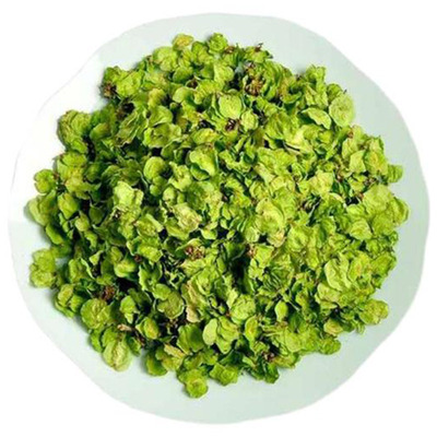 榆钱新鲜野生农家特嫩榆钱串儿蒸菜窝窝头山野菜时令蔬菜洋槐花米