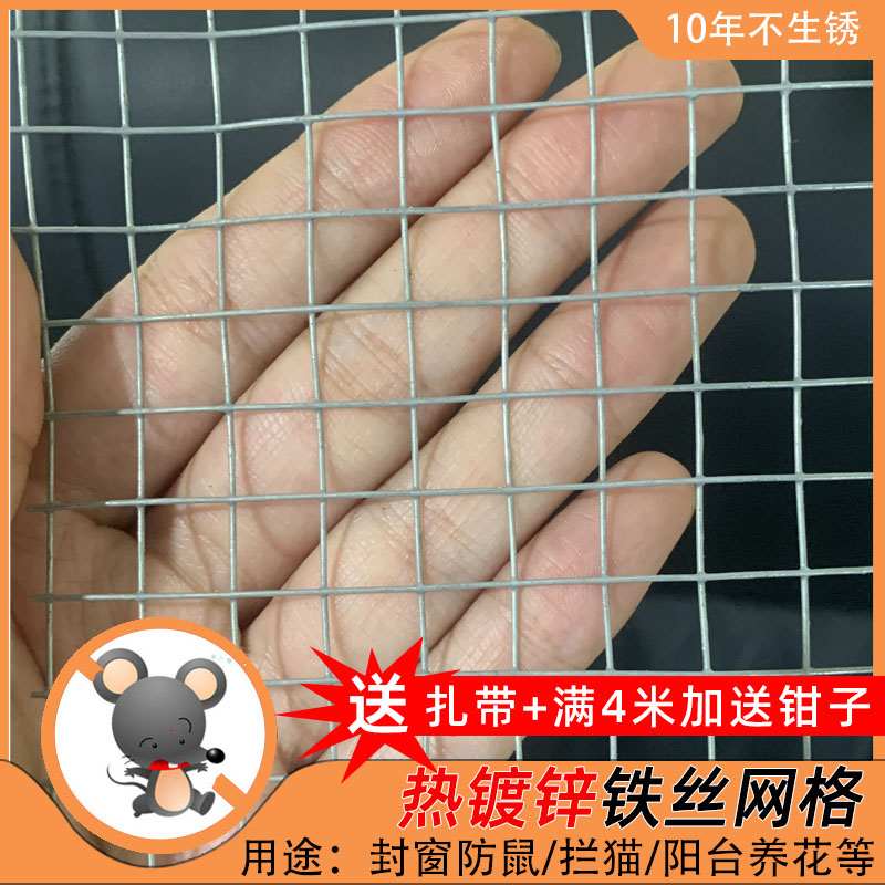 镀锌铁丝网防鼠蛇网阳台加粗防护网防护小孔肉多花盆网格电焊网