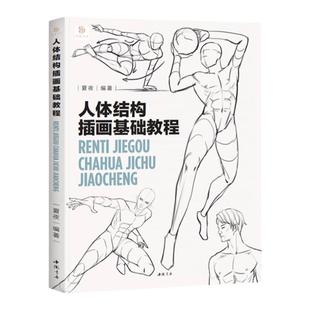 人体结构插画基础教程 夏夜 人体速写 动态结构 技法教程 速写临摹素材 漫画人物绘画 人体结构造型手绘技法 艺用动态解剖教材