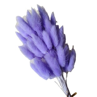 云南干花兔尾草礼物兔尾巴草花束包装材料教师节朋友家居装饰花束