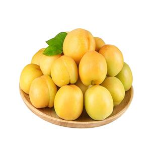 杏子新鲜水果2026年现摘微黄杏当季水果新鲜杏子黄杏孕妇水果酸杏