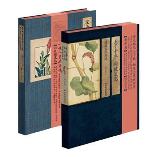 【精装彩绘】花开未觉岁月深 美了千年却被淡忘 二十四节气七十二候花信风绘本诗经名物图解古风手绘礼品中国画报出版社官方正版