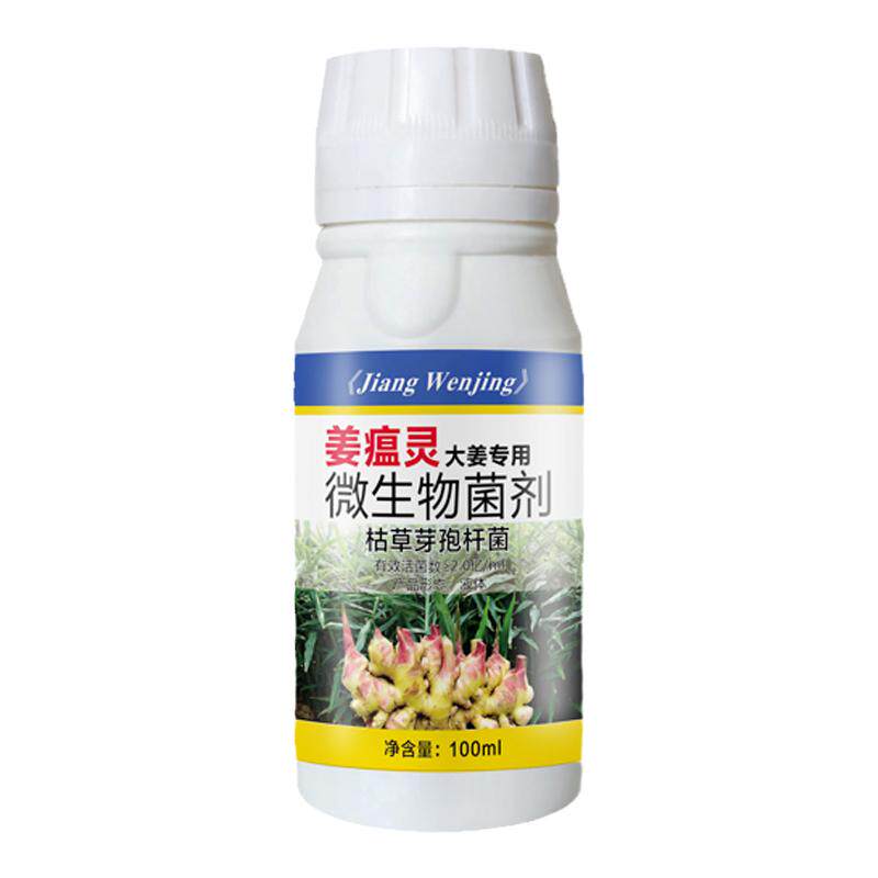 生姜沙姜姜瘟净药生姜烂脖子病姜杀菌剂