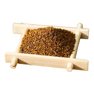 菟丝子500g正品兔丝子粉中药材内蒙男性泡茶酒搭无无野生包邮