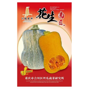 花生南瓜种子粉糯香甜蜜本南籽四季种孑春季贝贝蔬菜孑菜种菜籽