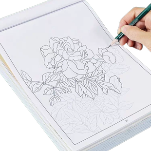 中国画白描入门工笔画底稿描幕手绘本人物花奔山水动物初学者画画