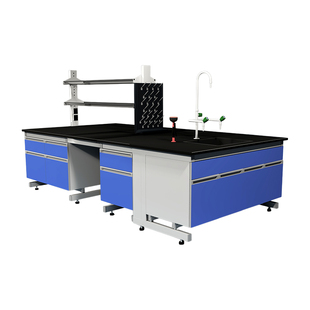 实验室钢木实验台桌子工作台不锈钢边台pp中央台全钢水槽化验试验