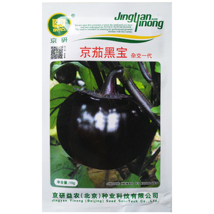 茄子种子长茄子线茄圆茄子秧苗种茄子苗茄子种籽茄子种籽白茄种孑