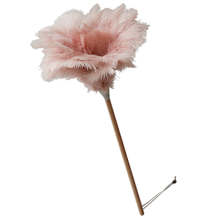 艺之初玉粉鸵鸟毛掸鸡毛掸子静电除尘扫灰家用装饰掸灰尘清理神器