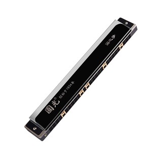 德国进口音簧国光口琴24孔复音C调初学者入门28孔重音专业演奏级