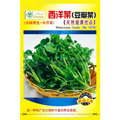 西洋菜种籽豆瓣菜种子儿童保健蔬菜孑春秋季播多年生水田芥水瓮菜