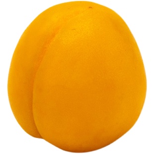 四川杏树果苗嫁接苗活苗金太阳杏子苗树苗北方南方种植水果树大全