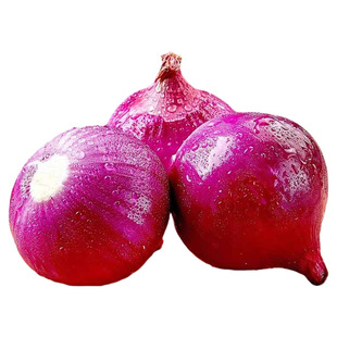 紫皮洋葱新鲜洋葱头生吃货农家自种蔬菜甜红皮圆葱批发包邮