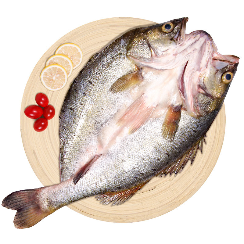 仙泉湖白蕉海鲈鱼三去刺少肉厚
