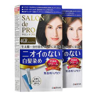 2盒装日本进口Dariya塔丽雅染发剂 遮盖白发植物无刺激黑色染发膏