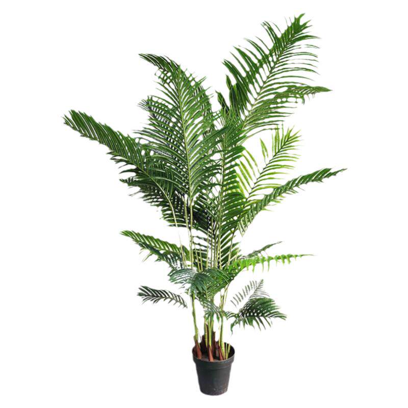 仿真北欧贵妃葵盆栽 散尾葵假植物装饰树 室内家居摆设绿植盆景