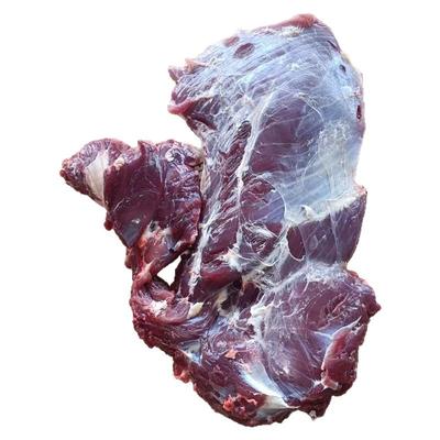 南阳清真黄牛肉每天鲜货质优价廉