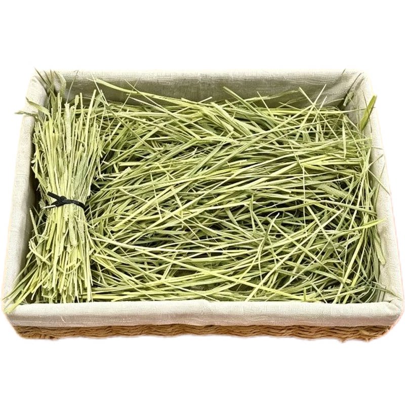 26年进口提摩西草兔子龙猫荷兰猪