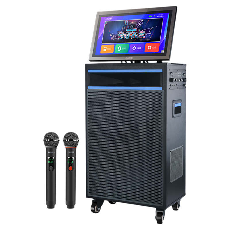 飞利浦18寸重低音K歌音响299F