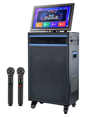 飞利浦18寸重低音K歌音响299F