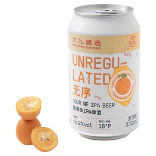大九酿造无序酸浑浊IPA工艺精酿啤酒330毫升罐装橙果味鲜啤2罐装