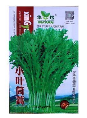 小叶茼蒿种子皇帝光杆菊花四季