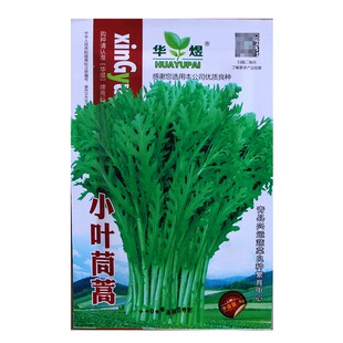 小叶茼蒿种子种籽皇帝菜光杆菜种菊花四季籽种冬季青菜蔬菜孑菜籽