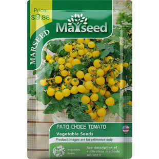【盆栽新品】进口Patio Choice AAS获奖品种露台矮番茄种子苗阳台
