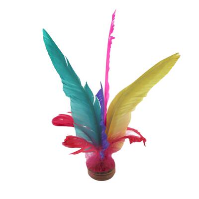 迪卡侬健身娱乐胶底学校eyeg毽子