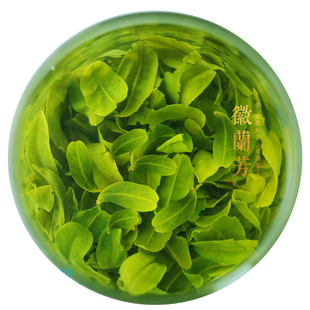 【兰花香型T38家兰】徽兰芳海拔600m兰花香型六安瓜片齐头山产区